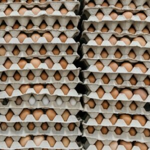 Fresh, Organic, Unwashed Eggs